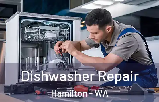  Dishwasher Repair Hamilton - WA