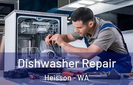  Dishwasher Repair Heisson - WA