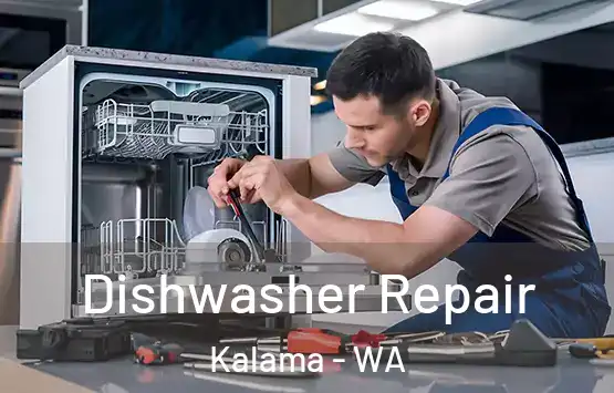  Dishwasher Repair Kalama - WA