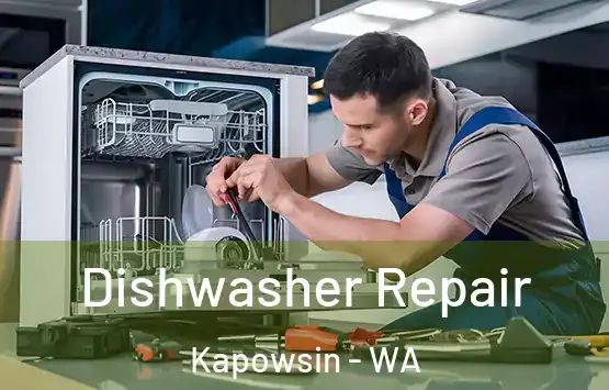  Dishwasher Repair Kapowsin - WA
