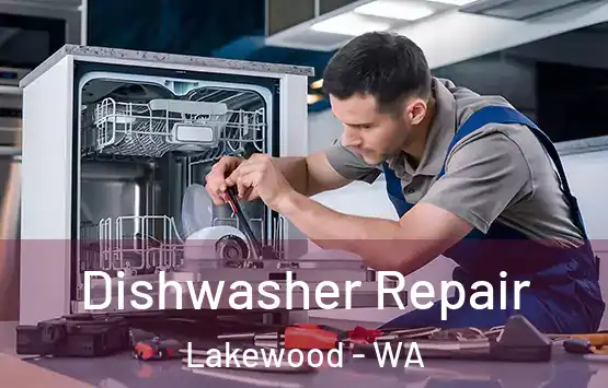  Dishwasher Repair Lakewood - WA