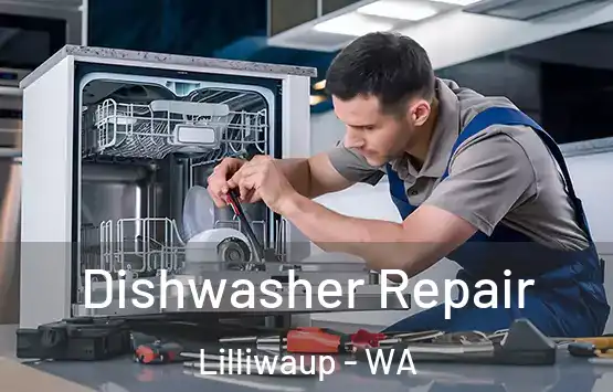  Dishwasher Repair Lilliwaup - WA