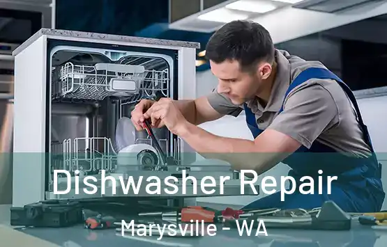  Dishwasher Repair Marysville - WA