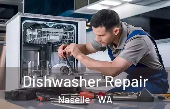  Dishwasher Repair Naselle - WA