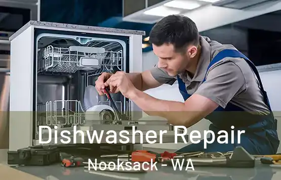  Dishwasher Repair Nooksack - WA
