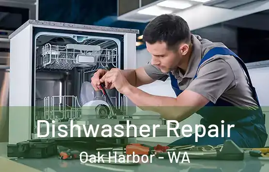  Dishwasher Repair Oak Harbor - WA