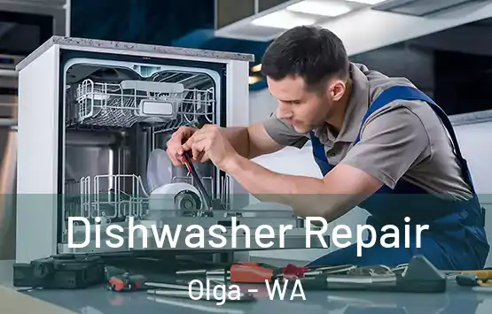  Dishwasher Repair Olga - WA