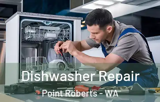  Dishwasher Repair Point Roberts - WA
