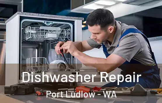  Dishwasher Repair Port Ludlow - WA