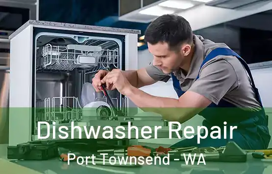  Dishwasher Repair Port Townsend - WA