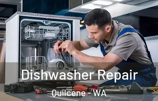  Dishwasher Repair Quilcene - WA