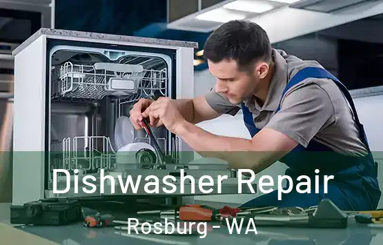  Dishwasher Repair Rosburg - WA