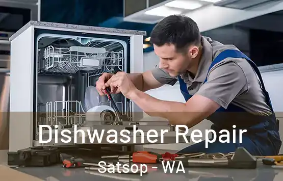  Dishwasher Repair Satsop - WA