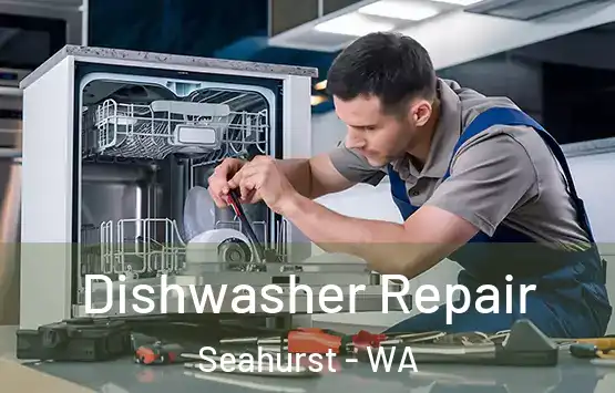  Dishwasher Repair Seahurst - WA