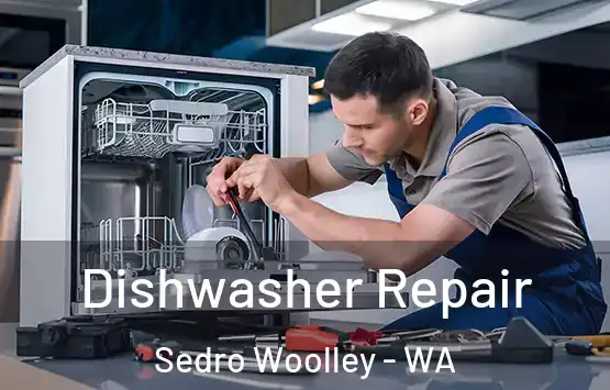  Dishwasher Repair Sedro Woolley - WA