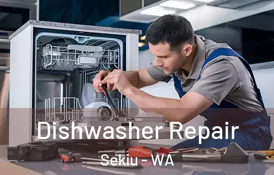  Dishwasher Repair Sekiu - WA