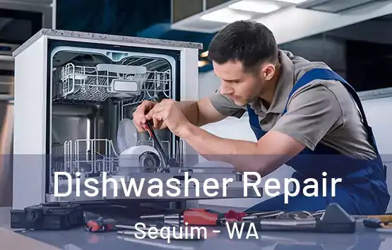  Dishwasher Repair Sequim - WA