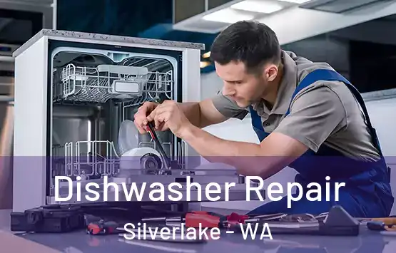  Dishwasher Repair Silverlake - WA