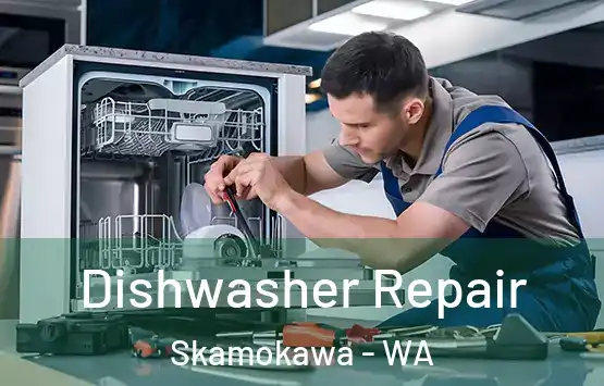  Dishwasher Repair Skamokawa - WA