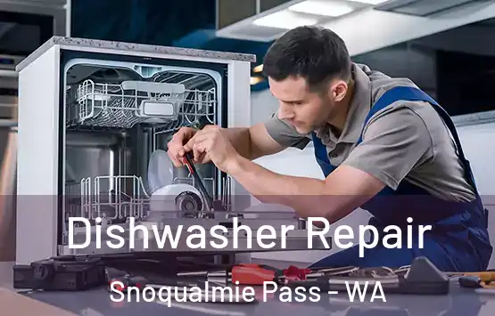  Dishwasher Repair Snoqualmie Pass - WA
