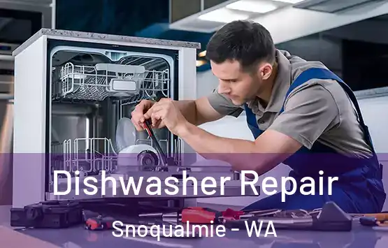  Dishwasher Repair Snoqualmie - WA