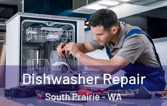  Dishwasher Repair South Prairie - WA