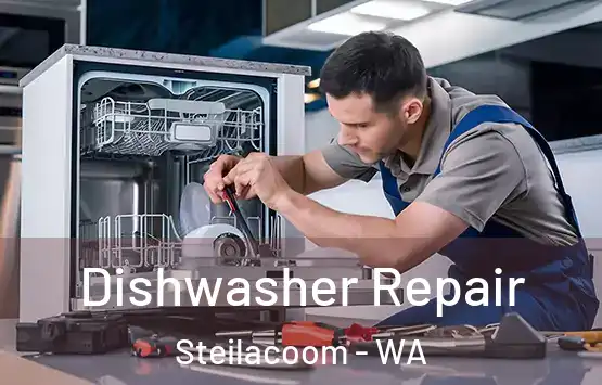  Dishwasher Repair Steilacoom - WA