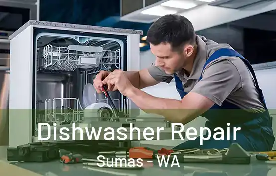  Dishwasher Repair Sumas - WA