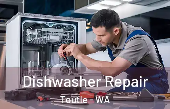  Dishwasher Repair Toutle - WA