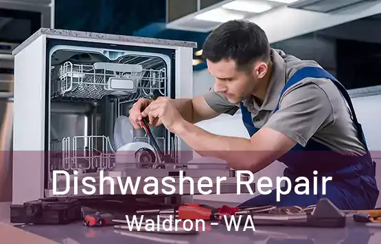  Dishwasher Repair Waldron - WA
