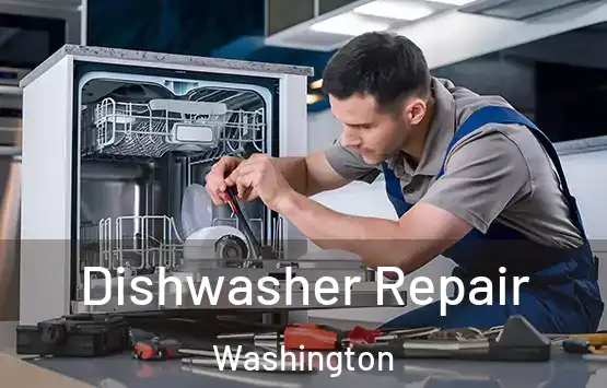  Dishwasher Repair Washington
