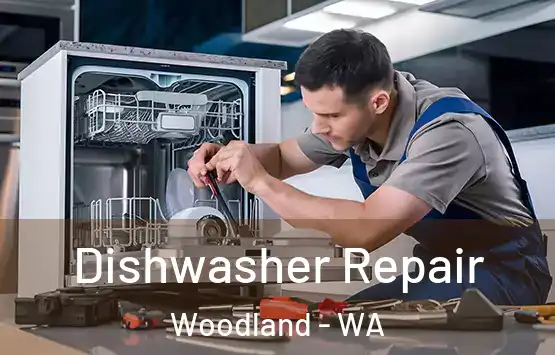  Dishwasher Repair Woodland - WA