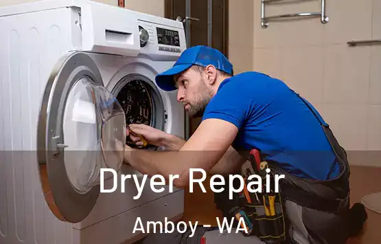  Dryer Repair Amboy - WA