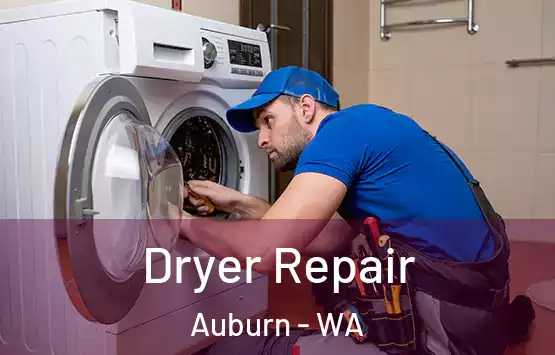  Dryer Repair Auburn - WA
