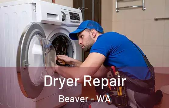  Dryer Repair Beaver - WA