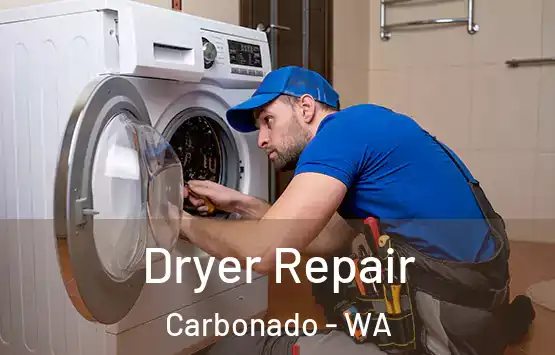  Dryer Repair Carbonado - WA