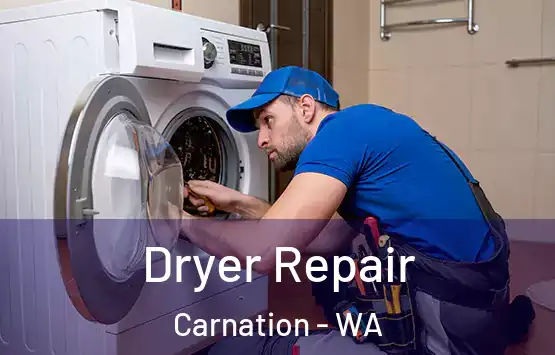  Dryer Repair Carnation - WA
