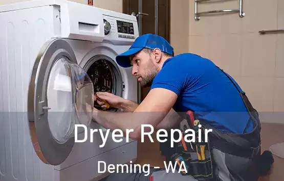  Dryer Repair Deming - WA