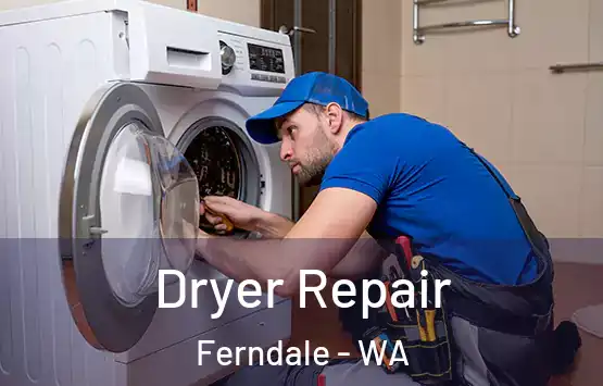  Dryer Repair Ferndale - WA