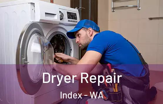  Dryer Repair Index - WA