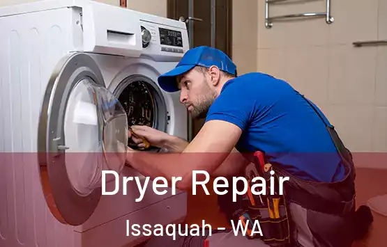  Dryer Repair Issaquah - WA