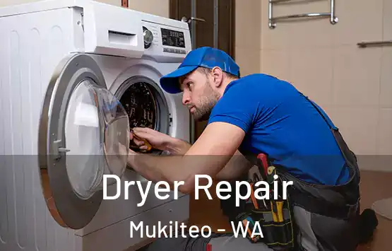  Dryer Repair Mukilteo - WA