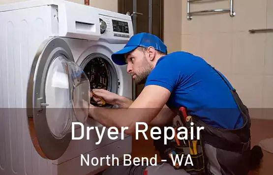  Dryer Repair North Bend - WA