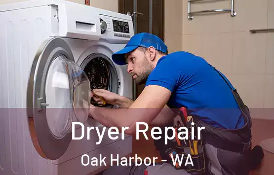  Dryer Repair Oak Harbor - WA
