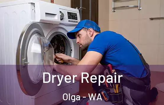  Dryer Repair Olga - WA