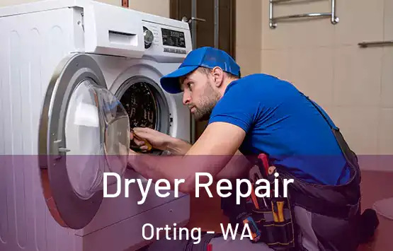  Dryer Repair Orting - WA