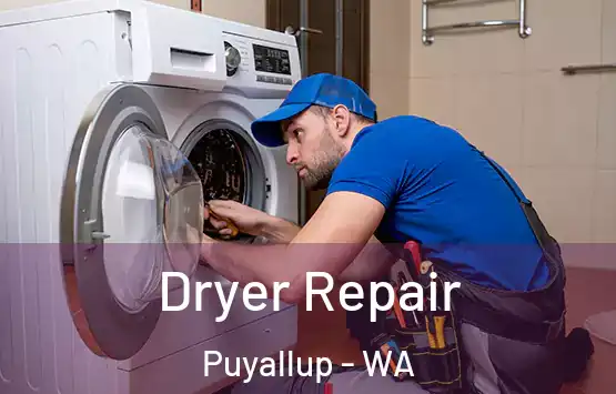  Dryer Repair Puyallup - WA