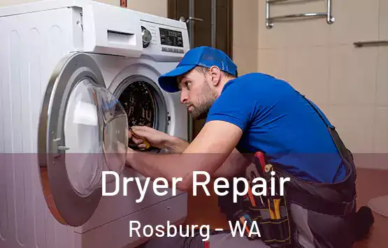  Dryer Repair Rosburg - WA