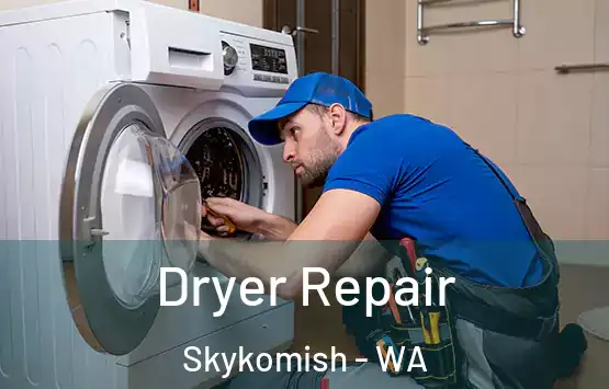  Dryer Repair Skykomish - WA