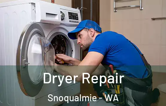  Dryer Repair Snoqualmie - WA